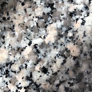 Meet your Posher, Neil